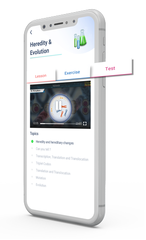 Home Revise exam preparation - get ready for exams through lesson exercises